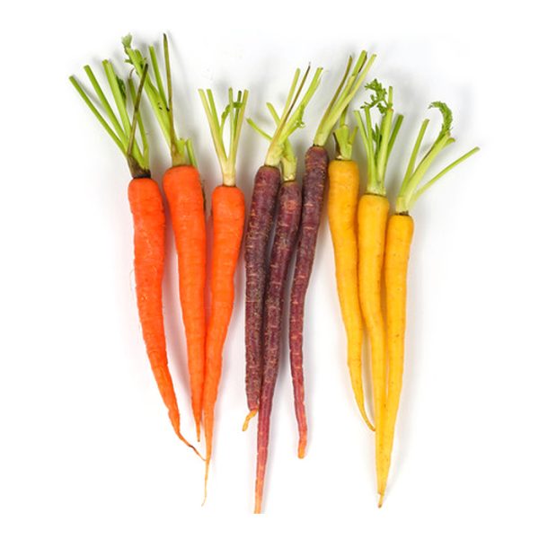 Beet – Carrot