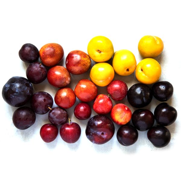 Plums